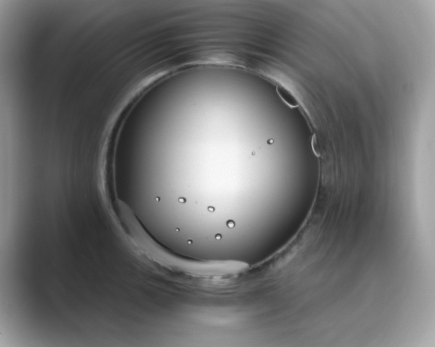 X0000089751139200707051810