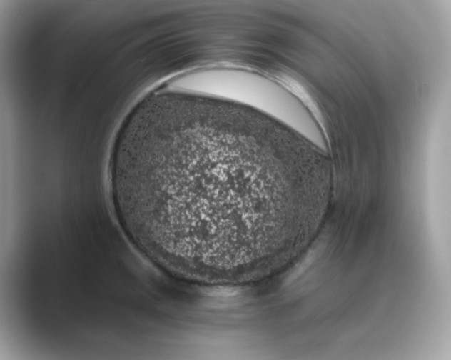 X0000089751141200707051810