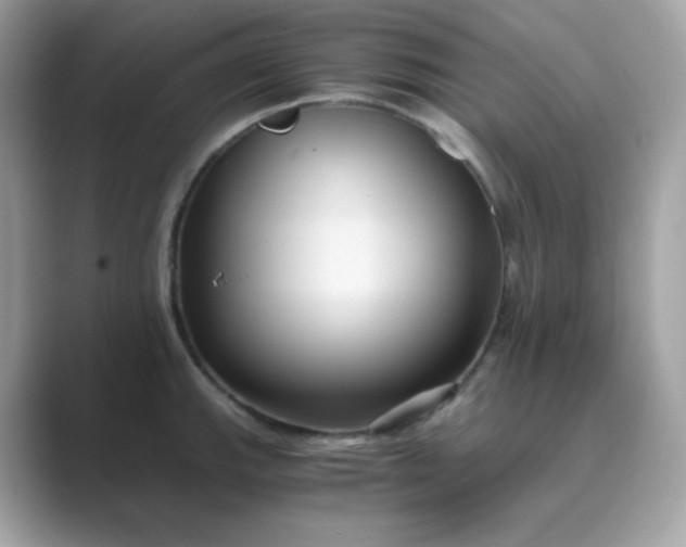 X0000089751143200707051810