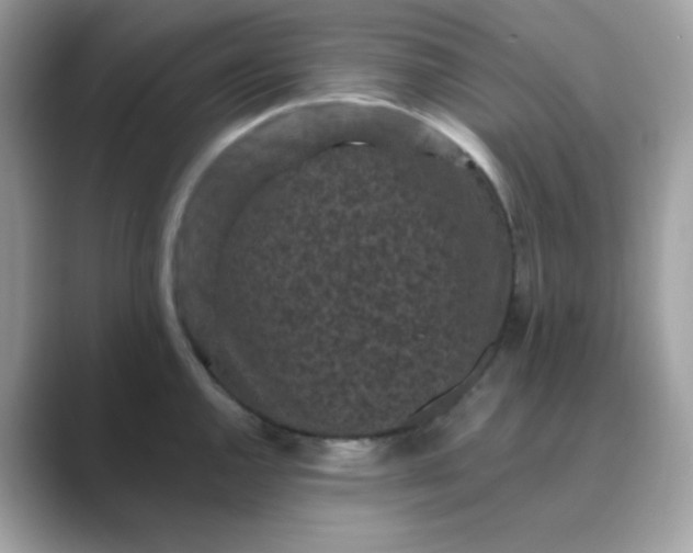 X0000089751144200707051810