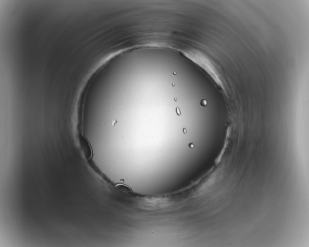 X0000089751147200707051810