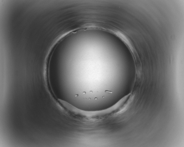 X0000089751149200707051810