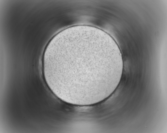 X0000089751150200707051810