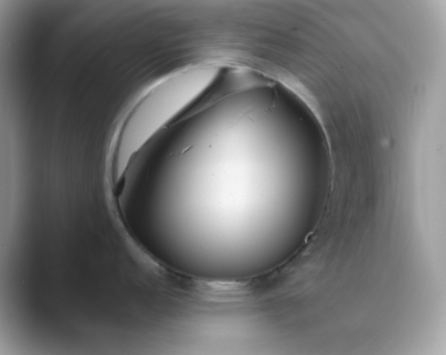 X0000089751152200707051810