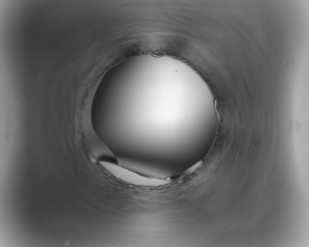 X0000089751153200707051810