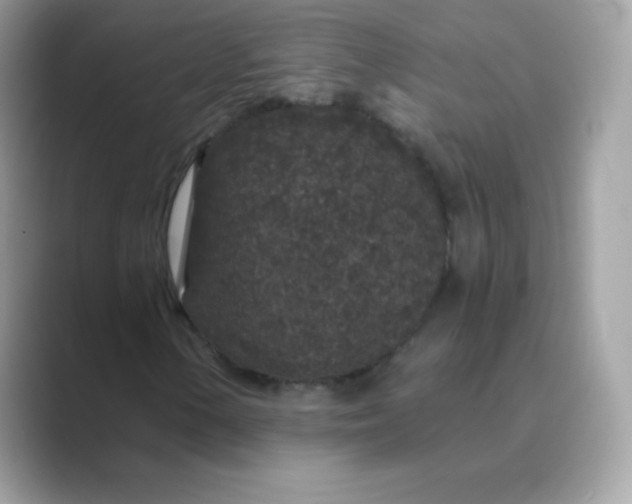 X0000089751154200707051810