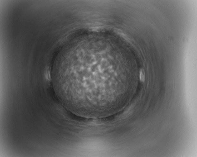 X0000089751155200707051810