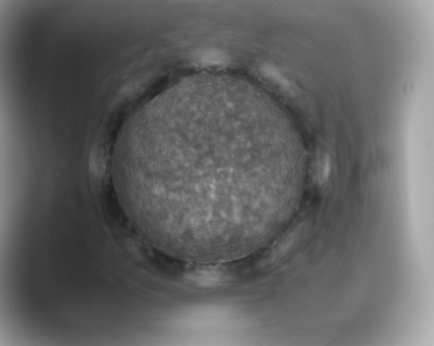 X0000089751157200707051810