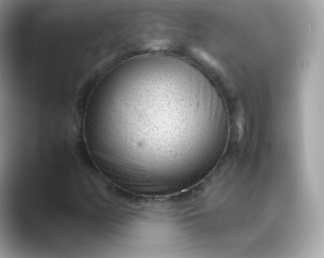 X0000089751158200707051810