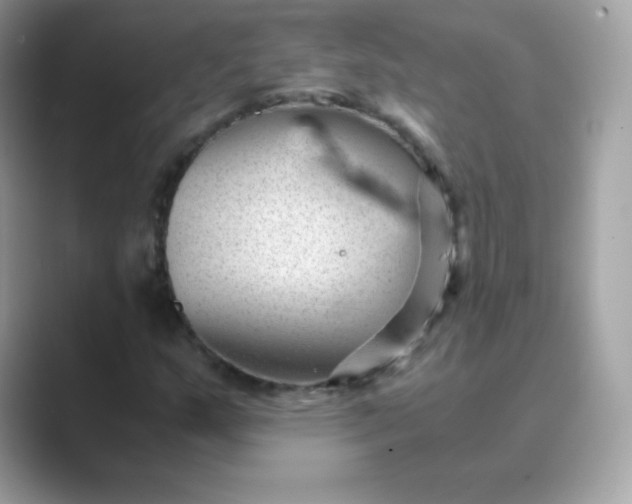 X0000089751159200707051810