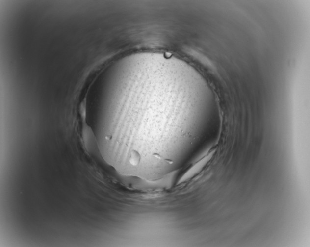 X0000089751160200707051810