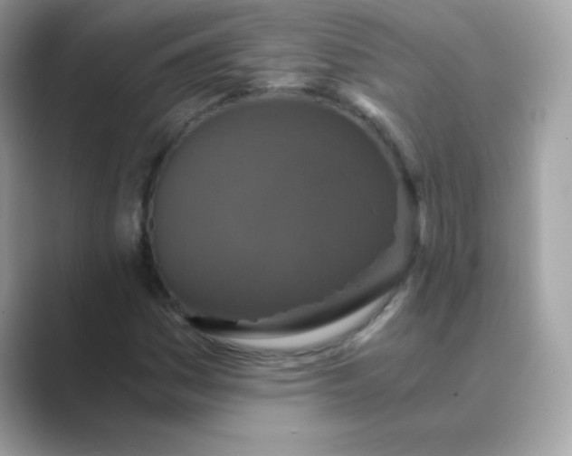 X0000089751161200707051810