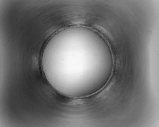 X0000089751162200707051810