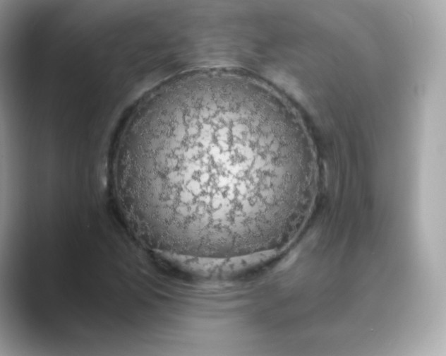 X0000089751165200707051810