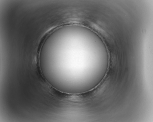 X0000089751166200707051810