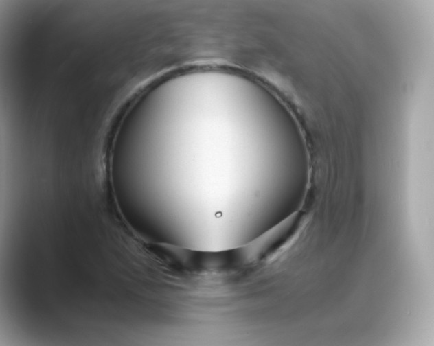 X0000089751167200707051810