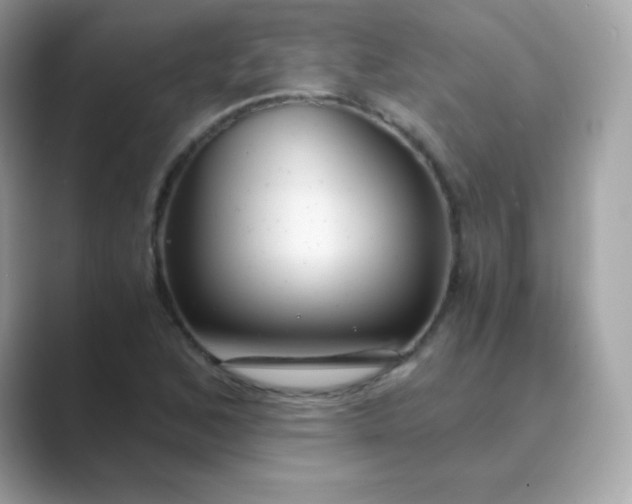 X0000089751168200707051810