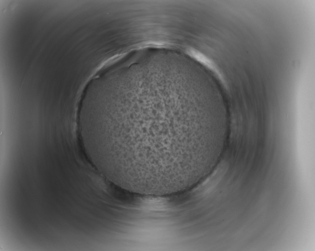 X0000089751170200707051810