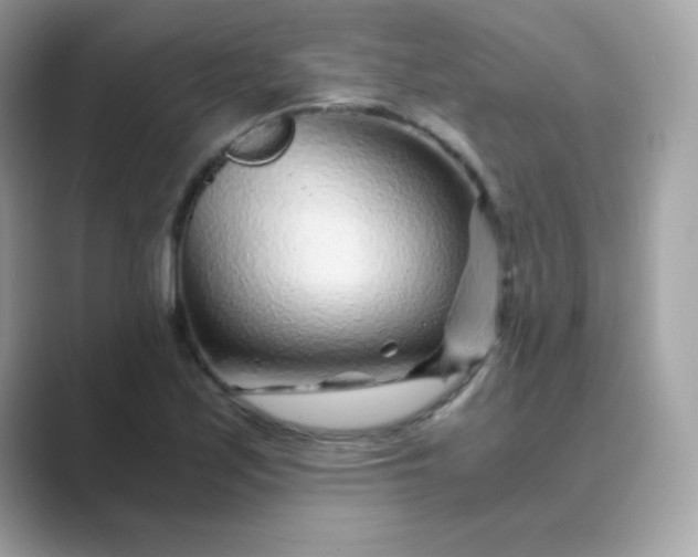 X0000089751171200707051810