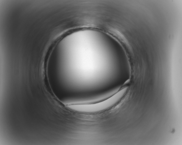 X0000089751172200707051810