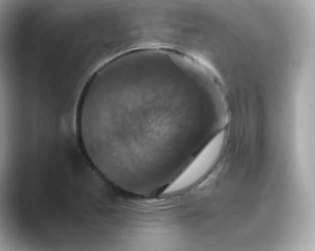 X0000089751173200707051810