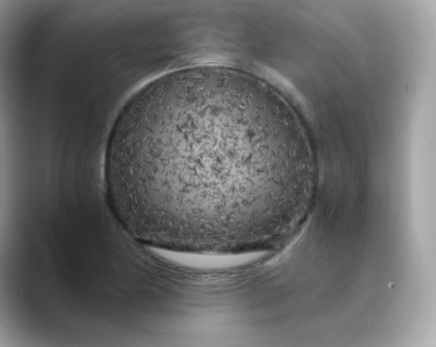 X0000089751174200707051810