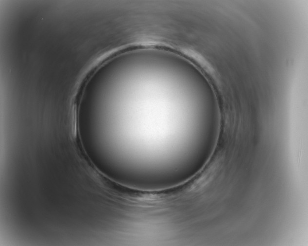 X0000089751175200707051810