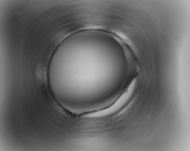 X0000089751177200707051810