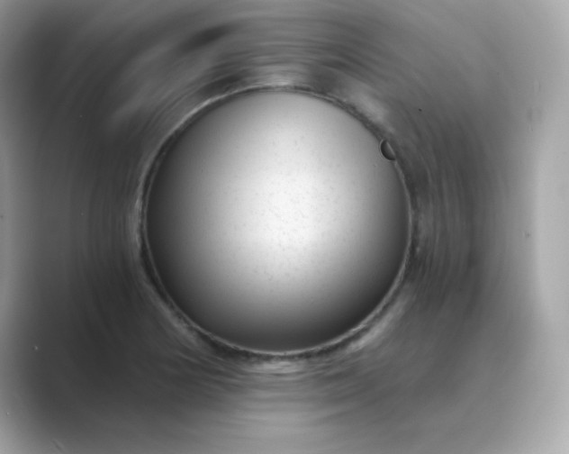 X0000089751178200707051810