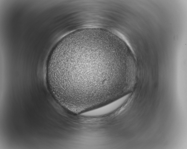 X0000089751179200707051810