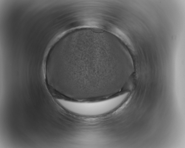 X0000089751180200707051810