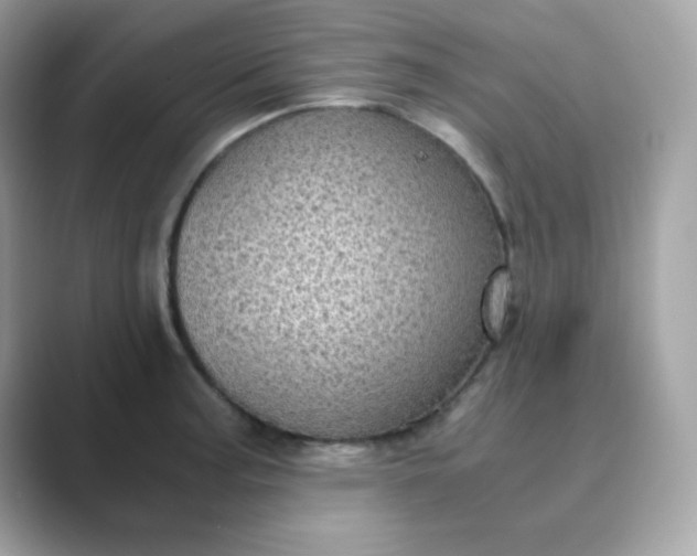 X0000089751187200707051809