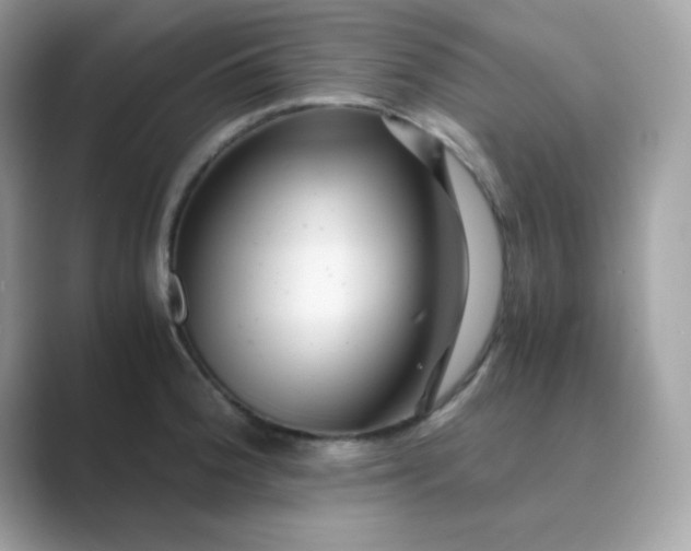 X0000089751188200707051809