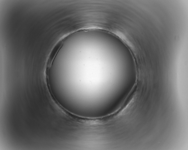 X0000089751189200707051809