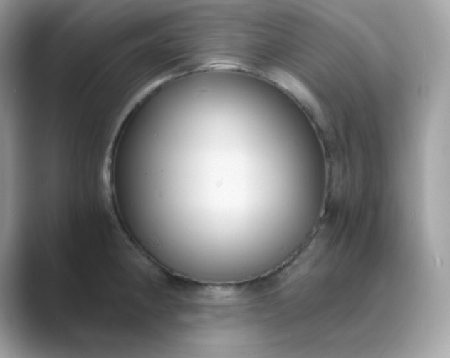 X0000089751190200707051809