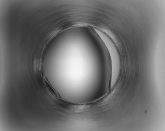 X0000089751193200707051809