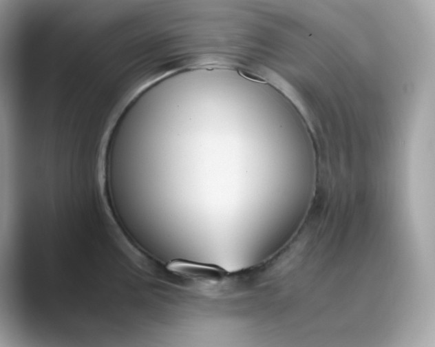 X0000089751195200707051809