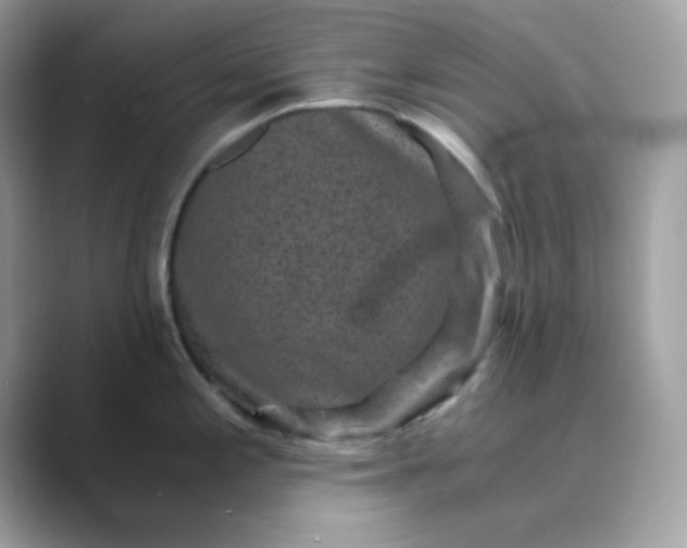 X0000089751197200707051809