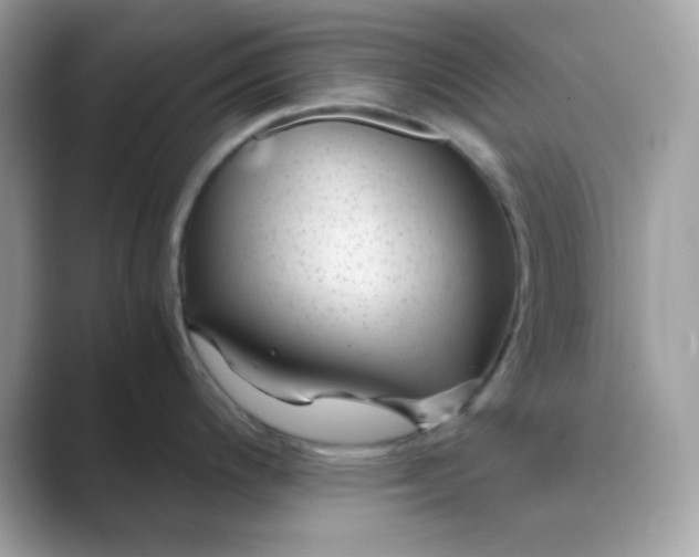 X0000089751200200707051809