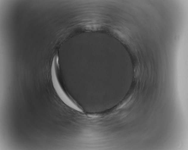 X0000089751202200707051809