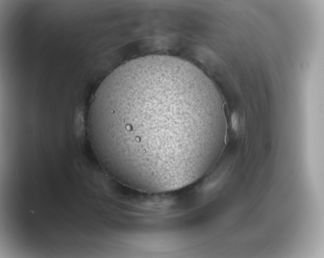 X0000089751203200707051809