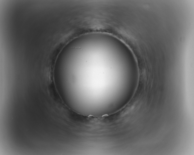 X0000089751205200707051809