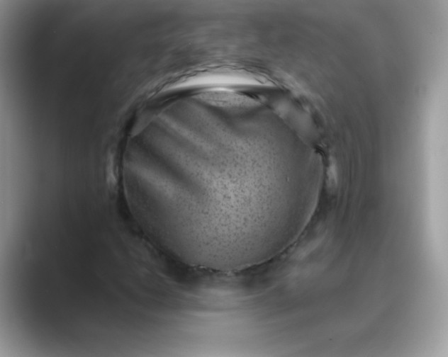 X0000089751206200707051809