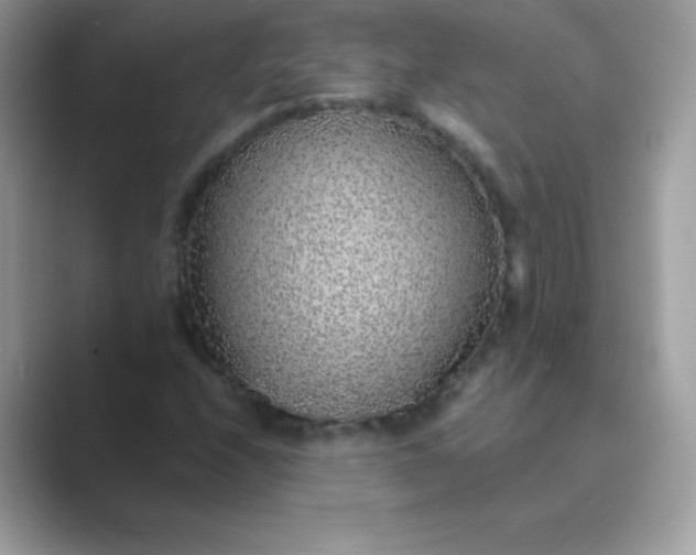 X0000089751208200707051809