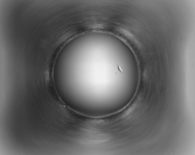 X0000089751209200707051809