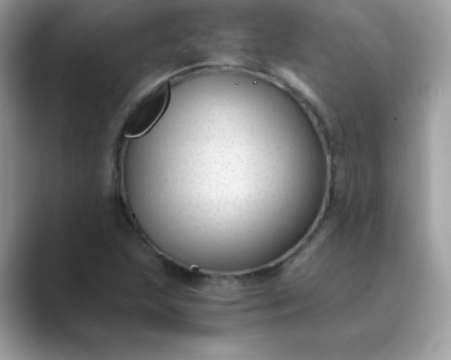 X0000089751215200707051809