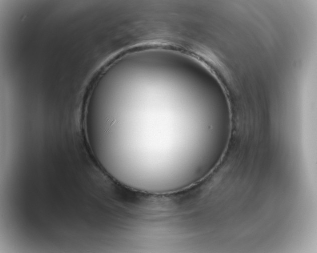 X0000089751216200707051809