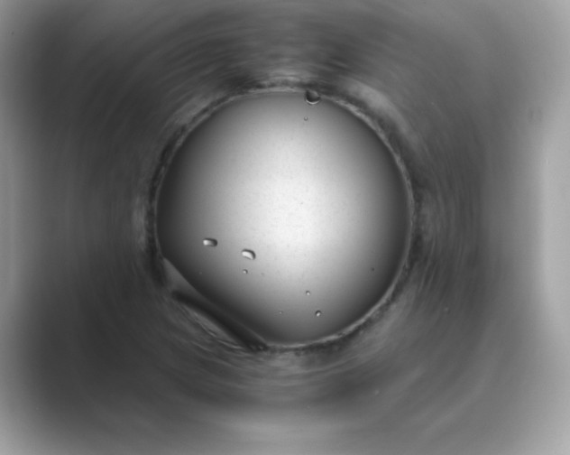 X0000089751217200707051809