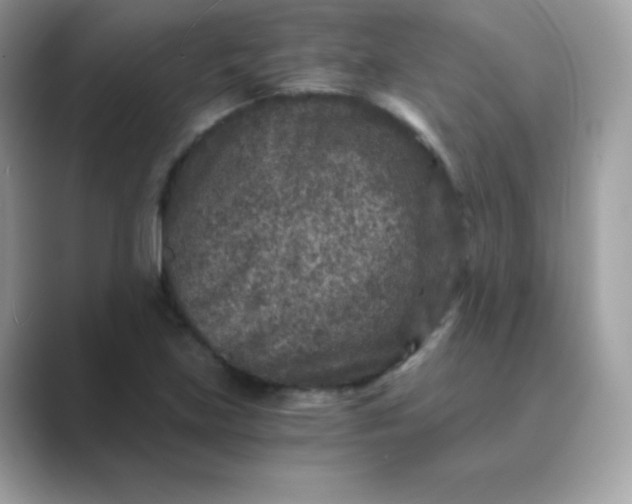 X0000089751219200707051809