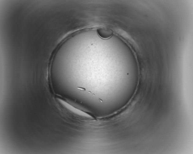 X0000089751220200707051809